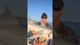 I Caught a MASSIVE Threadfin Salmon Fishing [upl. by Najed280]