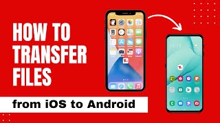 How to Use Zapya to Transfer Files From iPhone to Android [upl. by Wehttan]