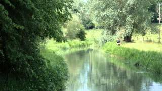 River Coln  Coln St Aldwyns [upl. by Greenwood]