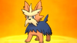 HERDIER Evolution LEVEL 16  Pokemon Sun amp Moon [upl. by Ainesey]