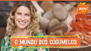 TUDO SOBRE OS COGUMELOS veja como lavar guardar e cozinhar esses ingredientes  Cozinha Prática [upl. by Adnot]