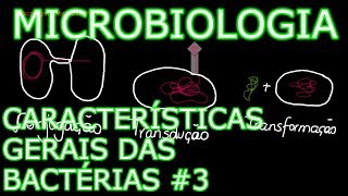 Aula Microbiologia Médica 6  Características Gerais das Bactérias 3 [upl. by Nednerb]