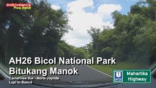 Pinoy Joyride  AH26 Bicol National Park  Lupi to Basud Joyride [upl. by Aihsekal]