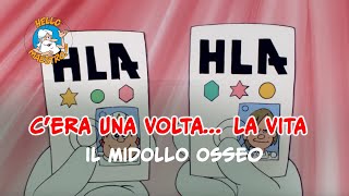 Siamo fatti così la vita 🌱 Il midollo osseo [upl. by Jeu433]