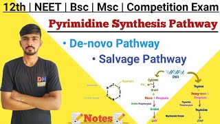 Biosynthesis Of Pyrimidine  Pyrimidine Synthesis By Denovo Pathway  Biochemistry  By Dadhich Sir [upl. by Atil]