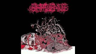 Effluence  Psychocephalic Spawning Full Album [upl. by Gamaliel498]