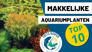 Makkelijke planten in je aquarium TOP 10  FritsKuiperTV [upl. by Darla441]