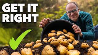 Potato Growing Masterclass My Tips for a Bigger Better Harvest [upl. by Mechelle]