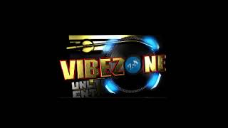 VIBEZONE DJS Live Stream [upl. by Ahsennod486]