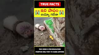 Ganesh immersion awareness factsintelugu 😭ఇది పాపం😭 amazingfacts truefacts shorts [upl. by Axela213]