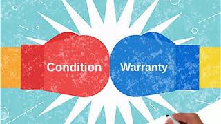 Conditions vs Warranties [upl. by Kale]