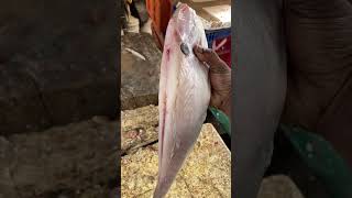 Yena thinusa irrukiya ithuipdi oru fish ahfresh ah fish ah sale panuranga location in description [upl. by Liponis]