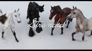 Stranded  Breyer Horse Movie [upl. by Wedurn]