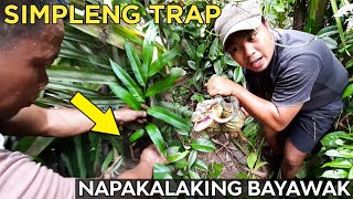 PAANO GUMAWA NG WILD TRAP SILO  PINAKA SIMPLENG TRAP PERO 100 HULI ANG BAYAWAK  Kuys Yeng [upl. by Annah275]