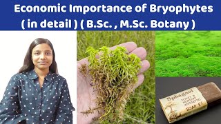 Classification of bryophyta Biology  Educational info [upl. by Euton]