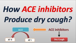 How ACE inhibitors produce dry cough [upl. by Prudi658]