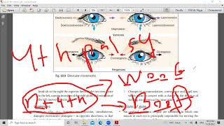 second lecture in strabismus [upl. by Engis]