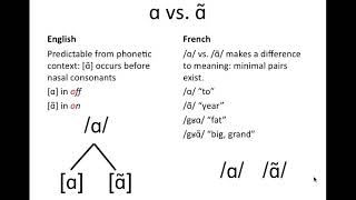 Phonemeallophone examples [upl. by Yllut724]