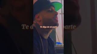 El Amante  Nicky Jam 🐓 Estado de WhatsApp [upl. by Niriam492]