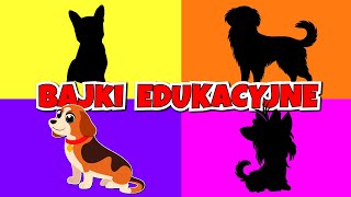 Filmy edukacyjne po polsku  Pieski  Bajki dla dzieci [upl. by Eidnas]