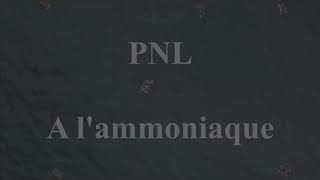 PNL  A lAmmoniaque INSTRUMENTAL remake sample [upl. by Aiki]