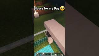 Minecraft House for my Dog🥺 minecraft shorts ryublazegaming [upl. by Yffub859]