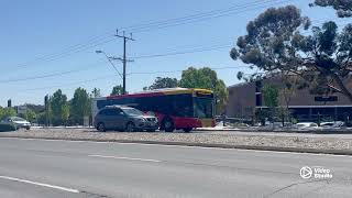 Buses at Westfield Tea Tree Plaza  Adelaide Metro [upl. by Janiuszck]