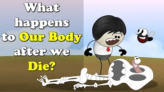 What happens to Our Body after we Die  more videos  aumsum kids science education children [upl. by Ahsi38]