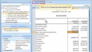 XBRL Software Demo [upl. by Alyek913]