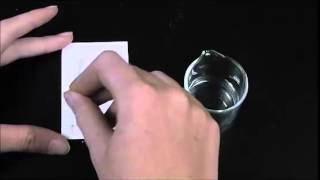 TRU Chemistry labs How To Prepare and Develop Thin Layer Chromatography TLC Plates [upl. by Jazmin]