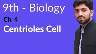 9th Class Biology  Chapter 4  Centrioles Cell [upl. by Lulu]