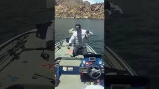 Fishing Saguaro Lake [upl. by Putscher]