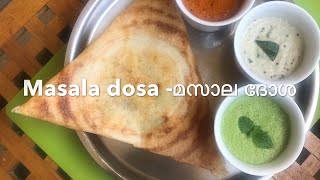 ദോശയിൽ പുതിയ മസാല രുചി Masala dosa malayalam recipe Special potato masala Dosa8th video മസാല ദോശ [upl. by Ramey53]