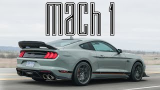 PERFECTION 2021 Ford Mustang Mach 1 Review [upl. by Jerrome]