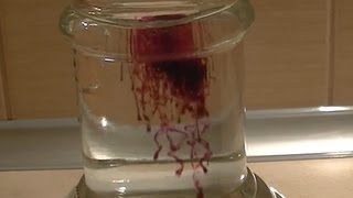 Potassium permanganate and citric acid [upl. by Notneuq]