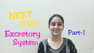 NEET 2020  Excretion  Quick Revision Notes [upl. by Einahpats]