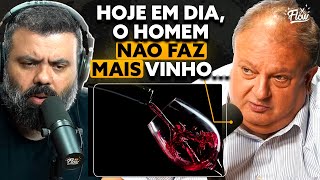 a VERDADE POR TRÁS da indústria do vinho [upl. by Nylidnarb]