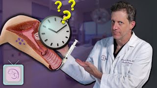 Which method is best for timing an IUI When is the best time [upl. by Camfort]