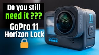 GoPro MAX lens Mod or GoPro 11 Horizon Lock [upl. by Noreg533]