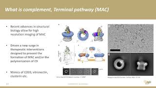 2024 RIMR  Simon Clark PhD  Complement association with disease [upl. by Etheline273]