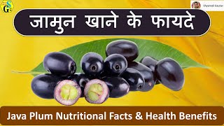 Jamun Nutritional Facts amp Health Benefits  java plum khane ke fayade  Jambolan Bioactive Compounds [upl. by Peirce]