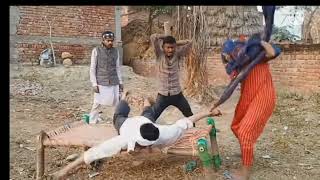 rampyari ki comedy  Ram pyare ki comedy  Ram pyare ki nai video  gully boys  rampyari comedy [upl. by Daryl239]