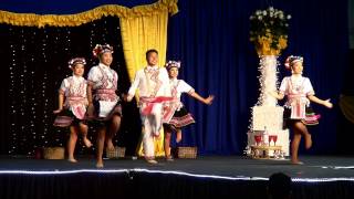 Sacramento Hmong New Year Dance comp 20142015 Tseem Tub Ntxhais Hmoob [upl. by Genny]