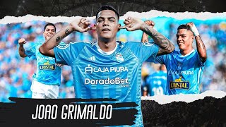 Joao Grimaldo ▶ Skills Goals amp Highlights 2024ᴴᴰ [upl. by Charleen]