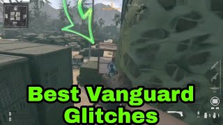 Best Glitches Vanguard [upl. by Whallon]