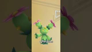 Rarest Pokémon traded for Maractus in Pokémon GO [upl. by Adnak]