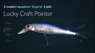 Underwater Lure Lab Lucky Craft Pointer [upl. by Marasco778]