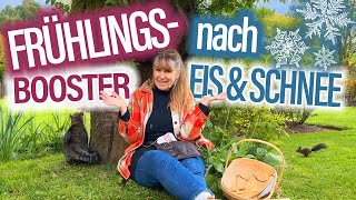 Nach KÄLTE Frühlings BOOSTER für ROSEN  spritzen pflegen düngen VORBEUGEN  MUTTERTAG Special [upl. by Stephie]