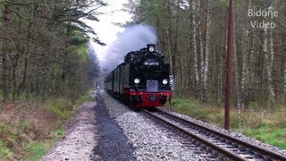 Eisenbahn 2012 25 Dampfloks  Steam Trains  Züge [upl. by Myles]