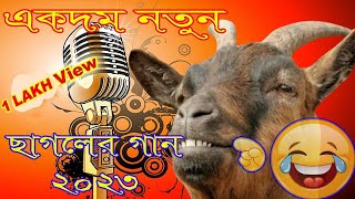 ছাগলের গান  Goat song  Goat song  Bangla Funny video Sagol Songs [upl. by Silado]